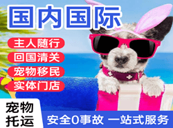 东营胜利机场快运国际宠物托运 【国